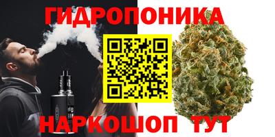 гашик Балаково