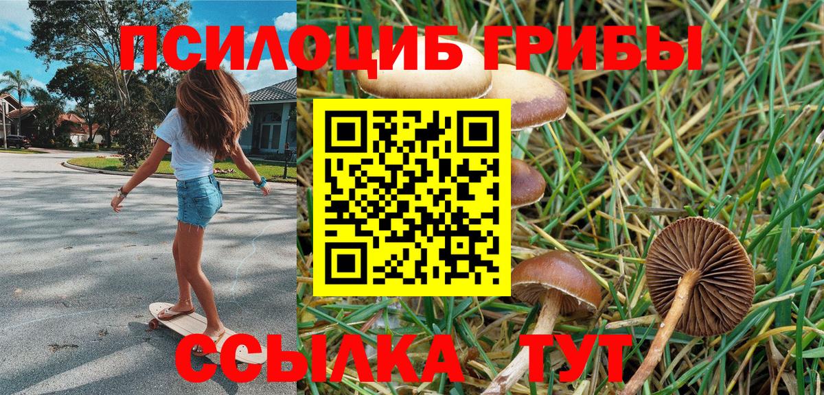 Жигулёвск  где продают наркотики  Вход с VPN  Галлюциногенные грибы Cubensis 